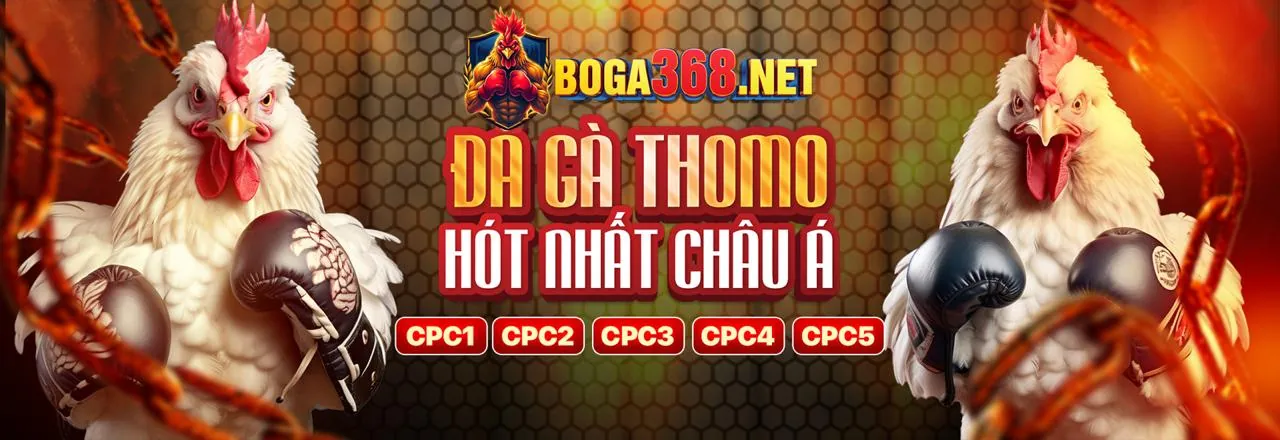 Chương Trình Đối Tác q68bet Login