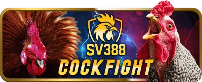 Giao dịch an toàn q68bet login